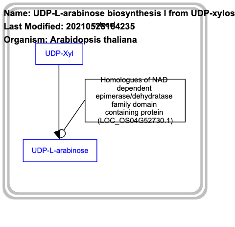 UDP-L-arabinose biosynthesis I from UDP-xylose
