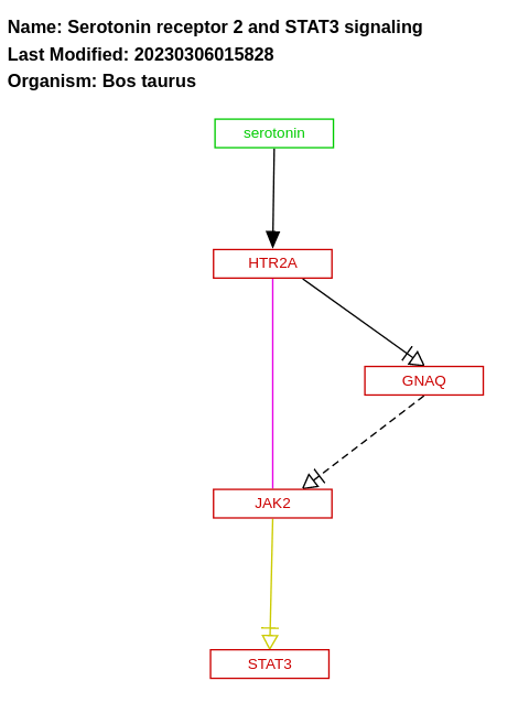 Serotonin receptor 2 and STAT3 signaling