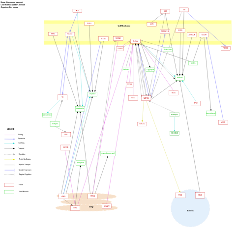 Monoamine transport