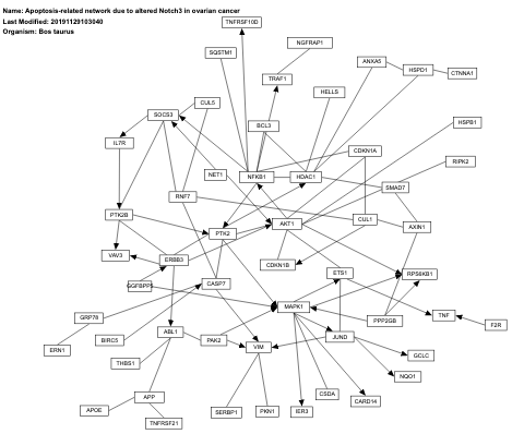 Apoptosis-related network due to altered Notch3 in ovarian cancer