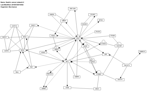 Gastric cancer network 2