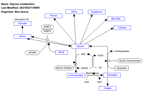 Glycine metabolism