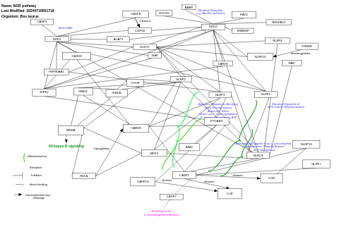 NOD pathway