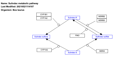 Sulindac metabolic pathway