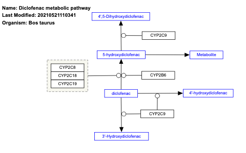 Diclofenac metabolic pathway