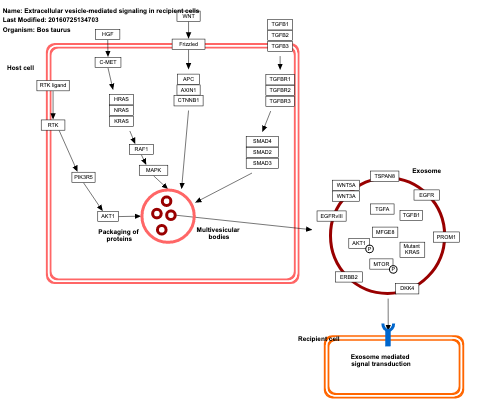 Extracellular vesicle-mediated signaling in recipient cells