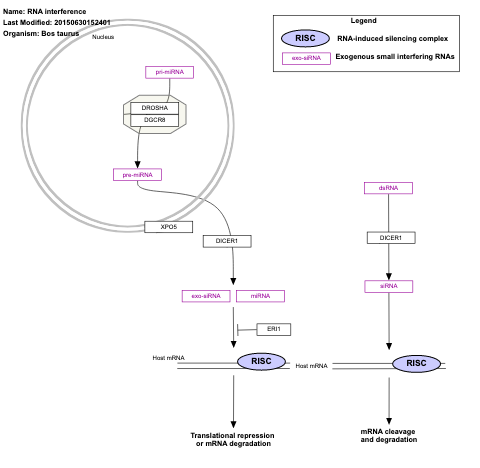 RNA interference