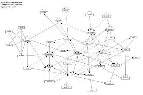 Gastric cancer network 1