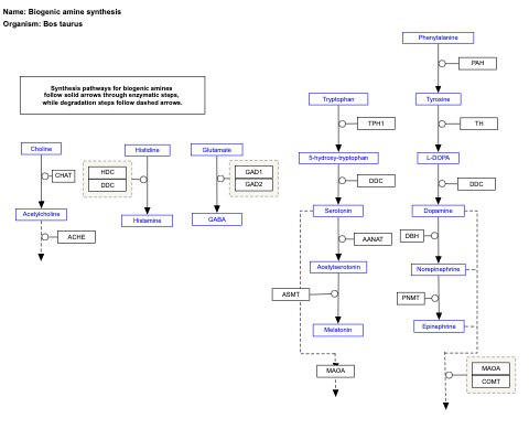 Biogenic amine synthesis