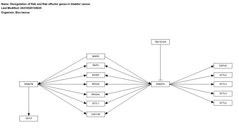 Deregulation of Rab and Rab effector genes in bladder cancer