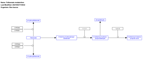 Felbamate metabolism