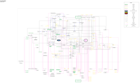 Vitamin B12 metabolism