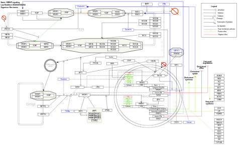 SREBP signaling