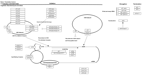 Translation factors