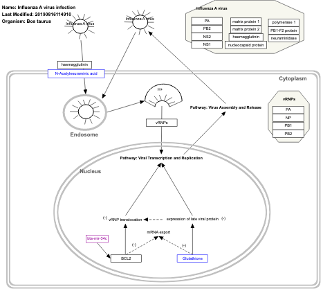 Influenza A virus infection