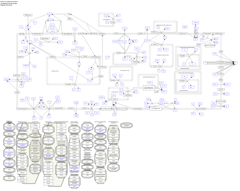 Iron uptake and transport