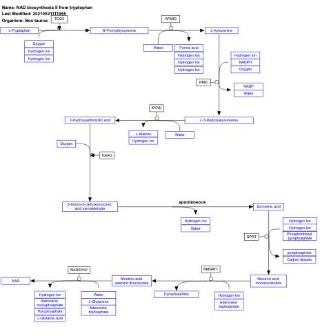 NAD biosynthesis II from tryptophan