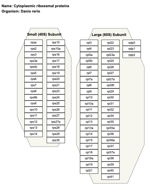 Cytoplasmic ribosomal proteins