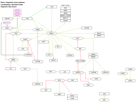 Integrated cancer pathway