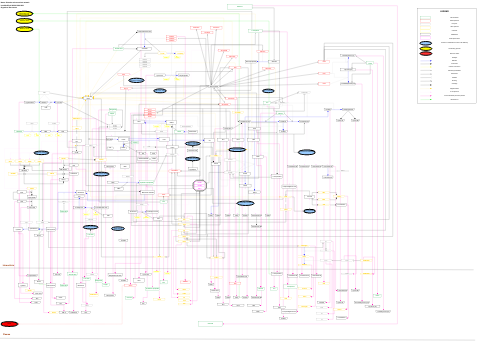 Selenium micronutrient network