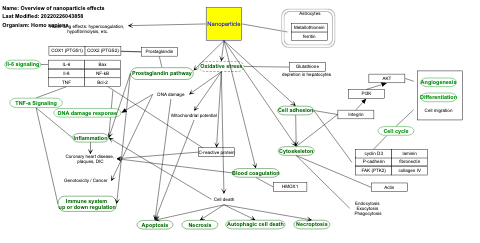 Overview of nanoparticle effects