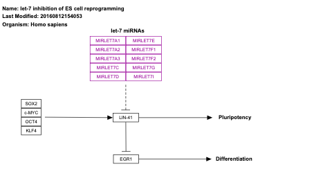 let-7 inhibition of ES cell reprogramming