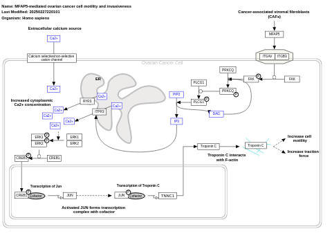 MFAP5-mediated ovarian cancer cell motility and invasiveness