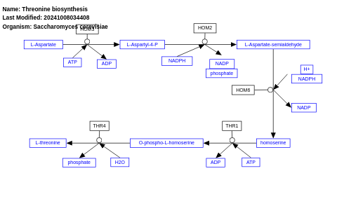 Threonine biosynthesis