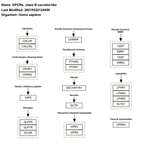 GPCRs, class B secretin-like