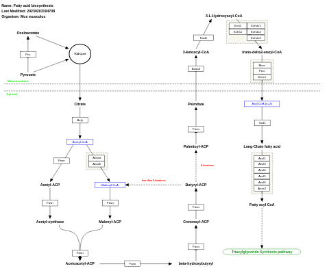 Fatty acid biosynthesis