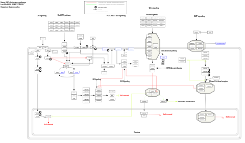 ESC pluripotency pathways