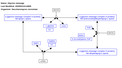 Glycine degradation