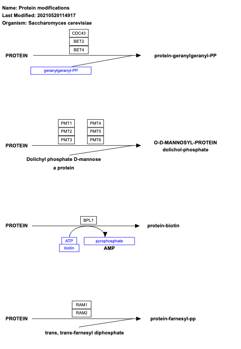 Protein modifications