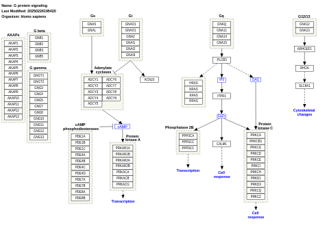 G protein signaling pathways