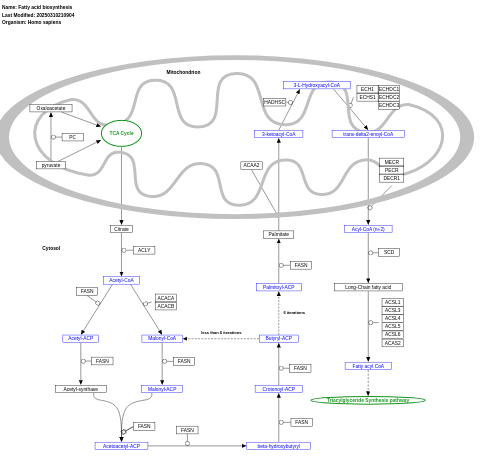 Fatty acid biosynthesis