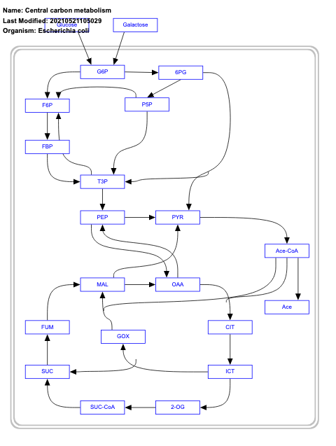 Central carbon metabolism