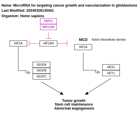 MicroRNA for targeting cancer growth and vascularization in glioblastoma