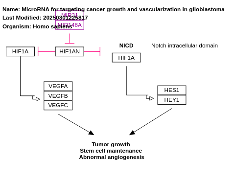 MicroRNA for targeting cancer growth and vascularization in glioblastoma