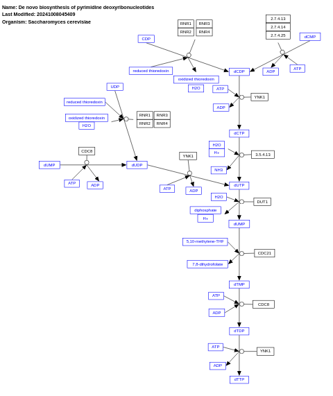 De novo biosynthesis of pyrimidine deoxyribonucleotides