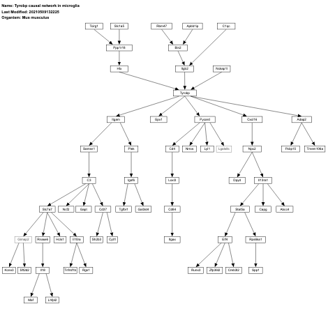 Tyrobp causal network in microglia