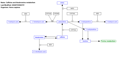 Caffeine and theobromine metabolism