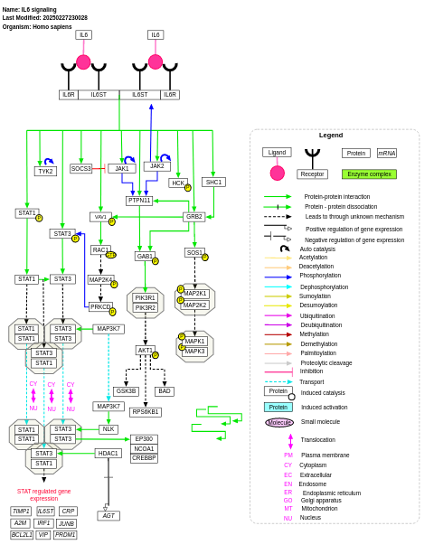 IL6 signaling pathway