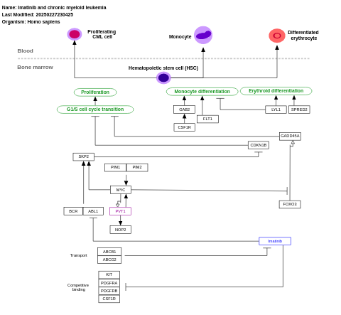 Imatinib and chronic myeloid leukemia