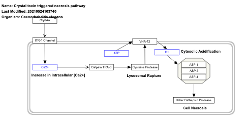 Crystal toxin triggered necrosis pathway