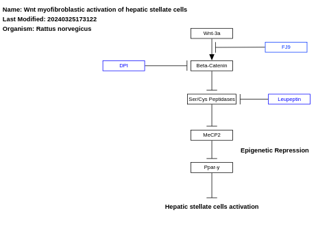 Wnt myofibroblastic activation of hepatic stellate cells