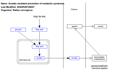 Acetate mediated promotion of metabolic syndrome