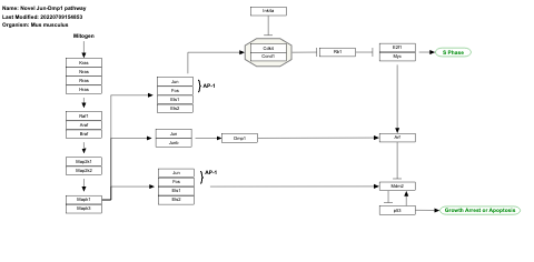 Novel Jun-Dmp1 pathway