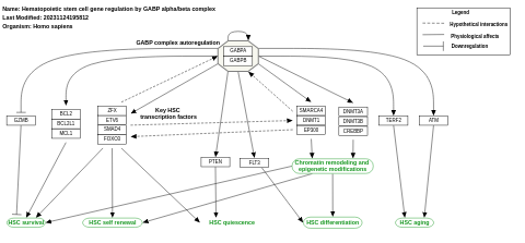 Hematopoietic stem cell gene regulation by GABP alpha/beta complex