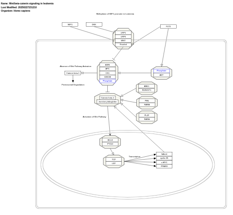 Wnt/beta-catenin signaling pathway in leukemia