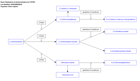 Metabolism of dichloroethylene by CYP450